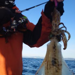 シースナイパー海龍 釣果