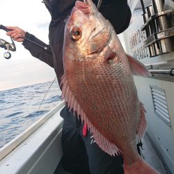 だて丸 釣果