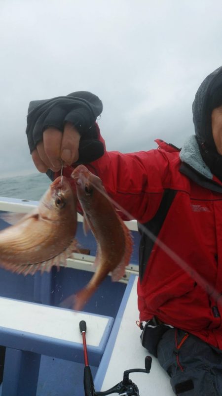 新幸丸 釣果