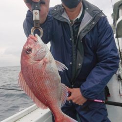 だて丸 釣果
