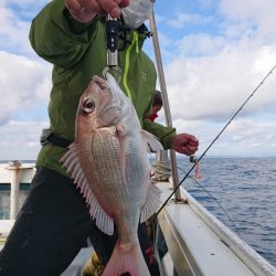 だて丸 釣果