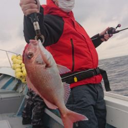 だて丸 釣果