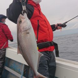 だて丸 釣果
