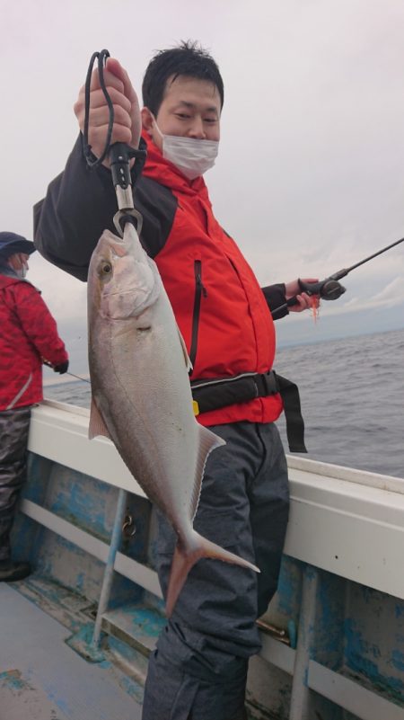 だて丸 釣果
