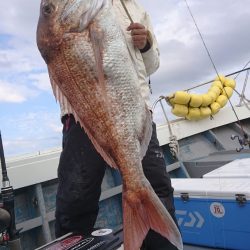 だて丸 釣果