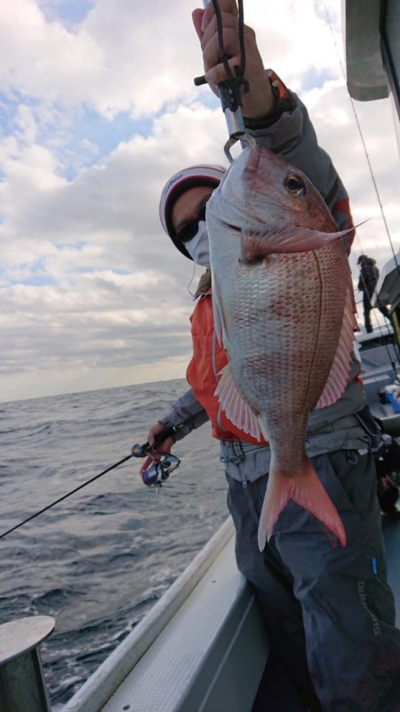 だて丸 釣果