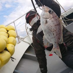 だて丸 釣果