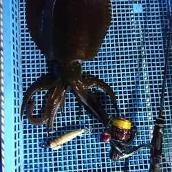 第三共栄丸 釣果