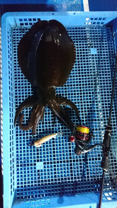 第三共栄丸 釣果