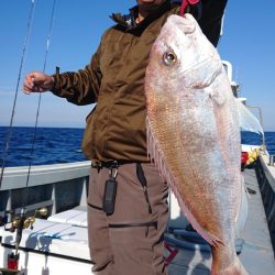 だて丸 釣果