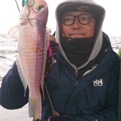 ARCADIAⅡ （アルカディアⅡ） 釣果