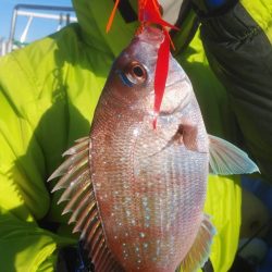 新幸丸 釣果