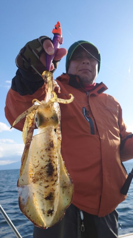 シースナイパー海龍 釣果