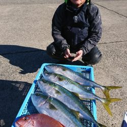 第三共栄丸 釣果