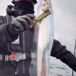 シースナイパー海龍 釣果