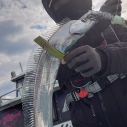 シースナイパー海龍 釣果