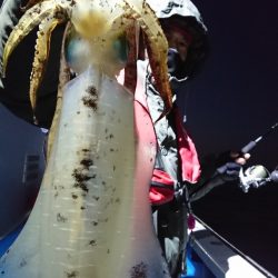 第三共栄丸 釣果