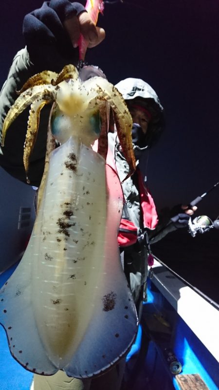 第三共栄丸 釣果