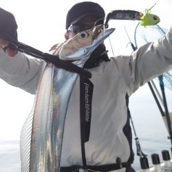 シースナイパー海龍 釣果