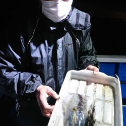 第三共栄丸 釣果