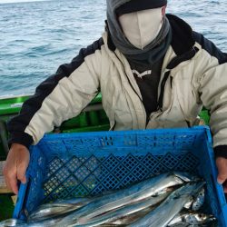 小島丸 釣果