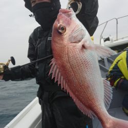 だて丸 釣果