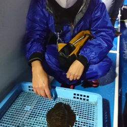 第三共栄丸 釣果