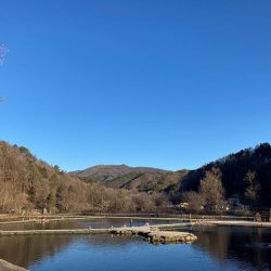 平谷湖フィッシングスポット 釣果