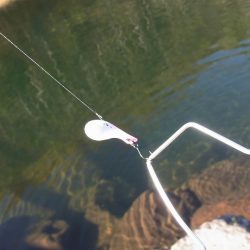 平谷湖フィッシングスポット 釣果