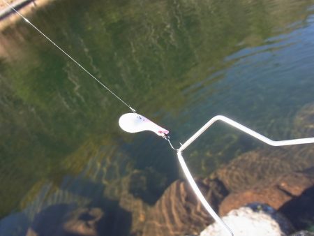 平谷湖フィッシングスポット 釣果