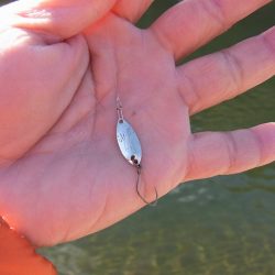 平谷湖フィッシングスポット 釣果