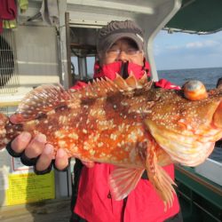 真祐丸 (しんゆうまる) 釣果