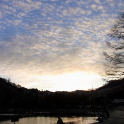 平谷湖フィッシングスポット 釣果