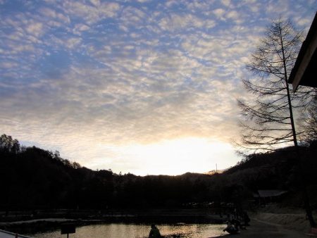 平谷湖フィッシングスポット 釣果