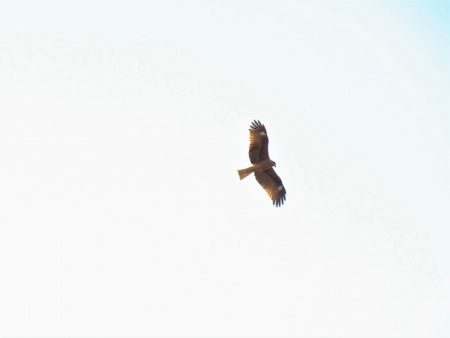 平谷湖フィッシングスポット 釣果