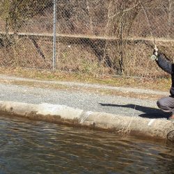 平谷湖フィッシングスポット 釣果