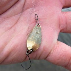 平谷湖フィッシングスポット 釣果