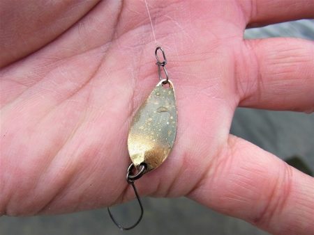 平谷湖フィッシングスポット 釣果