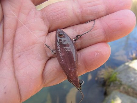 平谷湖フィッシングスポット 釣果