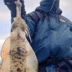 シースナイパー海龍 釣果