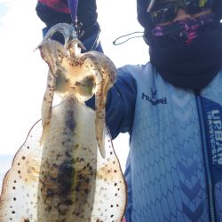 シースナイパー海龍 釣果