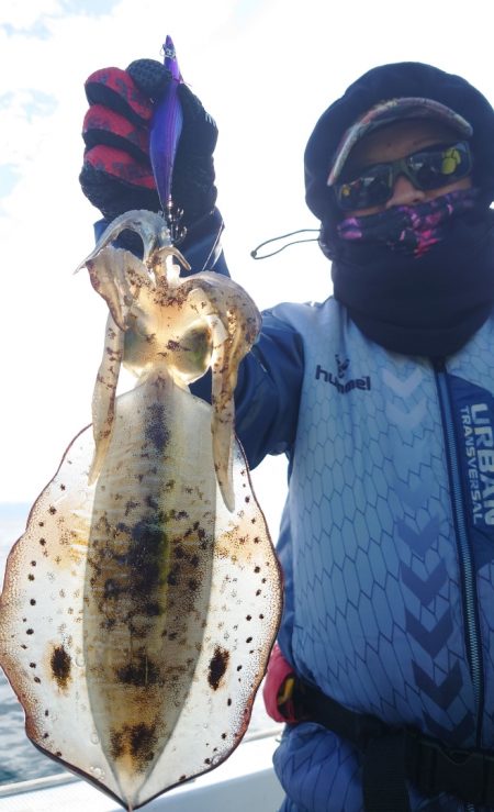 シースナイパー海龍 釣果