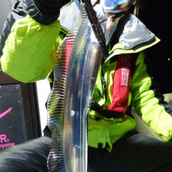 シースナイパー海龍 釣果