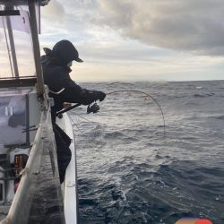幕島丸 釣果