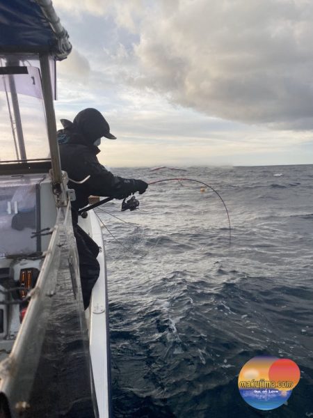 幕島丸 釣果