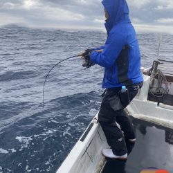 幕島丸 釣果