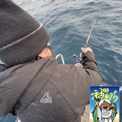 幕島丸 釣果
