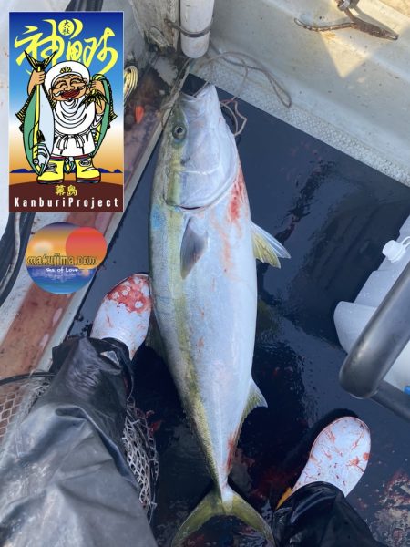 幕島丸 釣果
