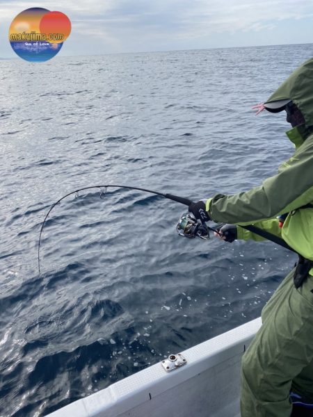 幕島丸 釣果