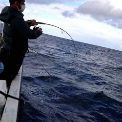 幕島丸 釣果